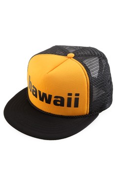Social Jetlag  Hawaii Trucker Cap